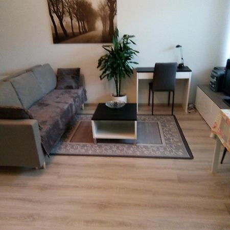 Parantolankatu Modern One Room Apartment Hyvinkää Eksteriør billede